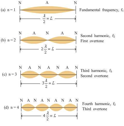 College Physics AP101